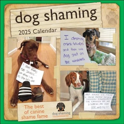 Afbeelding van Dog Shaming 2025 Wall Calendar