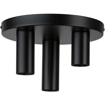 Afbeelding van PAULMANN 79761 Plafondlamp E27 Zwart