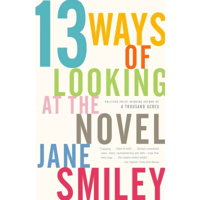 Afbeelding van 13 Ways of Looking at the Novel