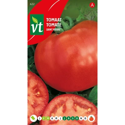 Afbeelding van Tomaat Saint Pierre Grote, ronde vaste vruchten