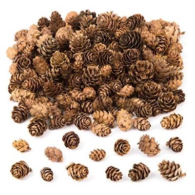 Afbeelding van Baker Ross AC492 lariksappels voordeelverpakking — ideaal voor kinderkunst en handwerk, Kerstmis, sensorische stimulatie meer (250 g), gesorteerd.