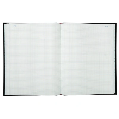 Afbeelding van Exacompta 6413E Piqué register, verticaal, 32 x 25 cm, 300 pagina&#039;s, kleine ruitjes, 110 g/m²