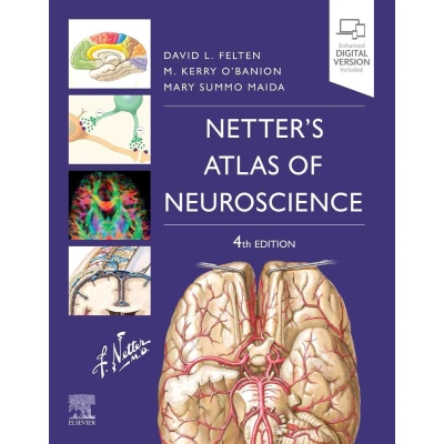 Afbeelding van Netter&#039;s Atlas of Neuroscience