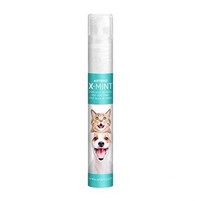Afbeelding van Artero X Mint Spray 14ML