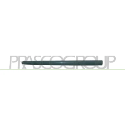 Afbeelding van Sier / beschermingspaneel, deur PRASCO PG0091404