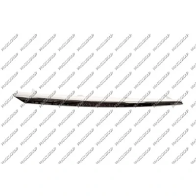 Afbeelding van Sier / Beschermingspaneel, radiateurgrille PRASCO TY3542213