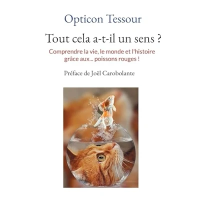 Afbeelding van Tout cela a t il un sens ?: Comprendre la vie, le monde et l&#039;histoire grâce aux... poissons rouges !