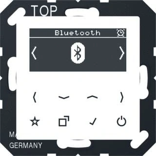 Afbeelding van Jung DAB+ inbouwradio met bluetooth DABABTWW alpinewit