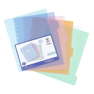 Afbeelding van Viquel Set van 6 tabbladen kunststof Maxi formaat (24,5 x 30,5 cm) Voor A4 ordners of