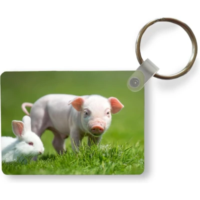 Afbeelding van Sleutelhanger Biggetje Konijn Dieren Uitdeelcadeautjes Plastic