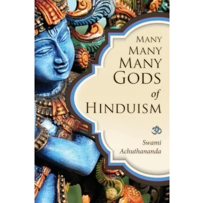 Afbeelding van Many Gods of Hinduism: Turning believers into non and