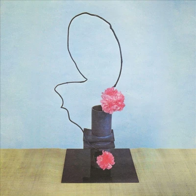 Afbeelding van Methyl Ethel Oh Inhuman Spectacle