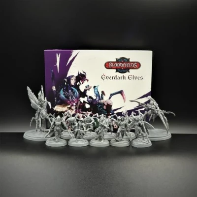 Afbeelding van Bloodfields: Everdark Elves Starter Set Miniatuur Game Engelstalig Titan Forge