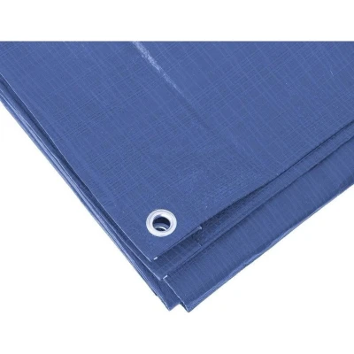 Afbeelding van Hoge kwaliteit afdekzeil / dekzeil blauw 2 x 3 meter Afdekzeilen