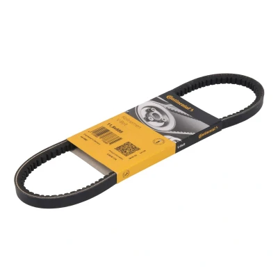 Afbeelding van V riem CONTINENTAL CTAM 11,5X685Ld