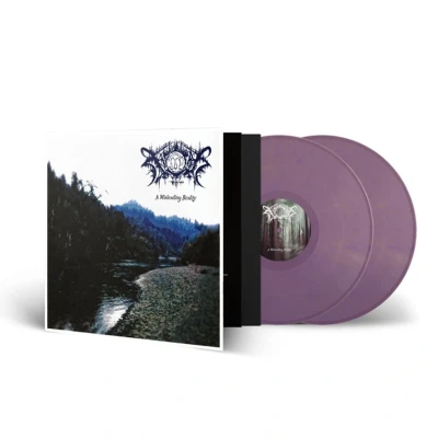 Afbeelding van Xasthur A Misleading Reality (LP)