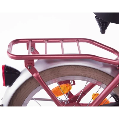 Afbeelding van Alpina Achterdrager 18 Cargo berry red matt