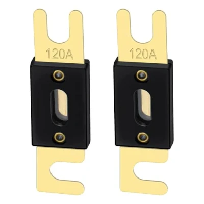 Afbeelding van Heschen ANL Fuse 120 Amp voor auto voertuigen audiosysteem blad goud toon &amp; zwart 2 Pack