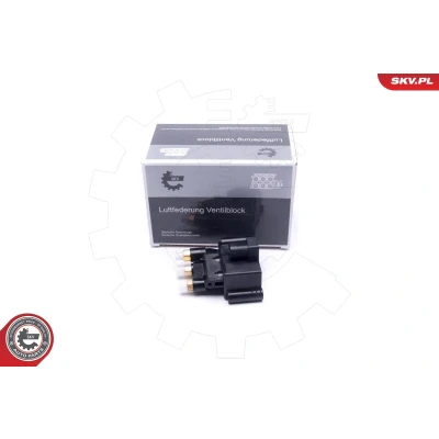 Afbeelding van Klep, pneumatisch systeem ESEN SKV 93SKV804