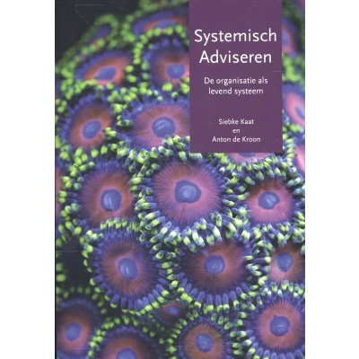 Afbeelding van Systemisch adviseren (Paperback)