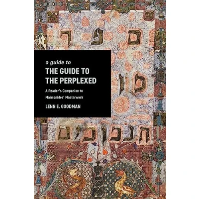 Afbeelding van A Guide to TheGuide the Perplexed: Reader’s Companion Maimonides’ Masterwork