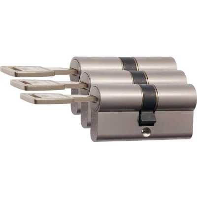 Afbeelding van Nemef dubbele veiligheidsprofielcilinder NF4 30/30 SKG*** mat vernikkeld (Gelijksluitend per 3 stuks)