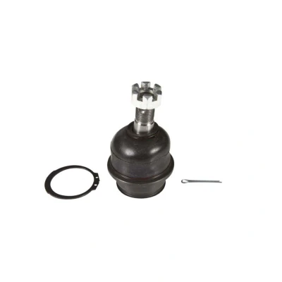 Afbeelding van Moog Fuseekogel TO BJ 8834