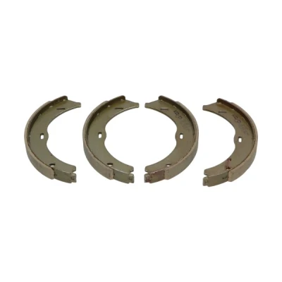 Afbeelding van Kavo Parts Remschoen set KBS 10003