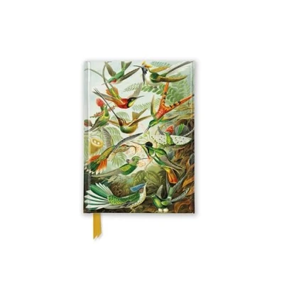 Afbeelding van Flame Tree Pocket Notebooks Ernst Haeckel: Hummingbirds (Foiled Journal)