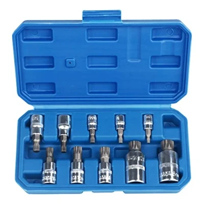 Afbeelding van DAYUAN Spline Socket Bit Set 10st Vierkant Triple Zilver M4 M18