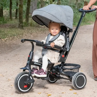 Afbeelding van Driewieler Dreamer Grijs vanaf 1 jaar Bandits and Angels