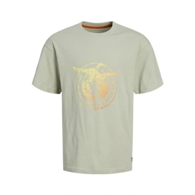 Afbeelding van JACK&amp;JONES JUNIOR JOCSC Gradient Logo Tee SS OS JNR, desert sage, 128 cm
