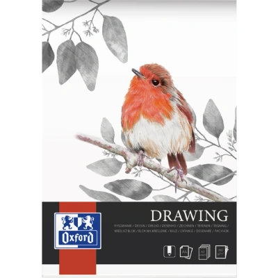 Afbeelding van Tekenblok Oxford Drawing A4 40vel 160gr