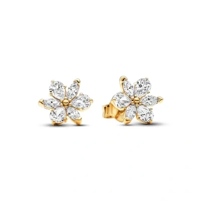 Afbeelding van Pandora 262633C01 Oorknoppen Sparkling Herbarium Cluster zilver zirconia goudkleurig wit