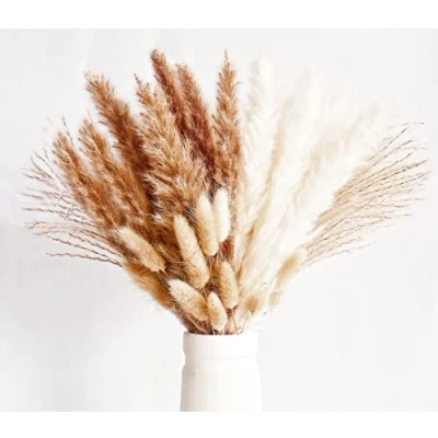 Afbeelding van Bannifll Droogbloemen, decoratie, kleine natuurlijke gedroogde boeketten van pampasgras, boho voor woonkamer, tafel, slaapkamer, bruiloften, badkamer, 70 stuks