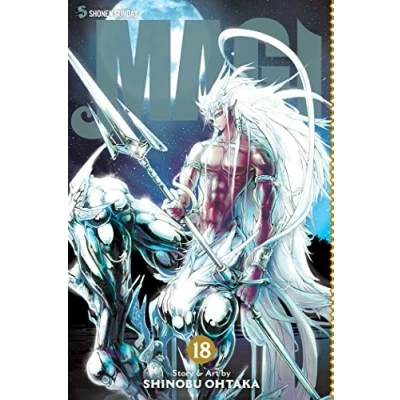 Afbeelding van MAGI 18: The Labyrinth of Magic