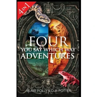 Afbeelding van Four You Say Which Way Adventures: Pirate Island, in the Magician&#039;s House, Lost Lion Country, Once Upon an Island: 1