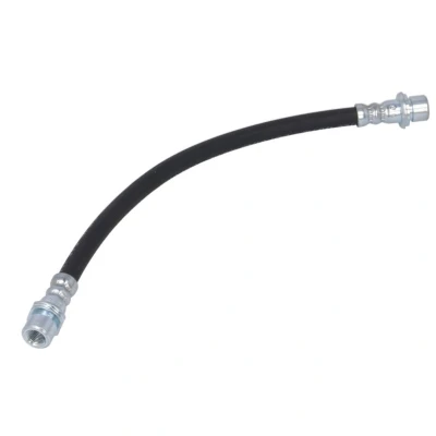 Afbeelding van Delphi Diesel Remslang LH7216