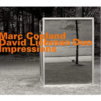 Afbeelding van Marc Copland Impressions (CD)