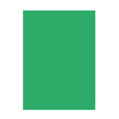 Afbeelding van TEKENPAPIER A3 50V EMERALD GRN