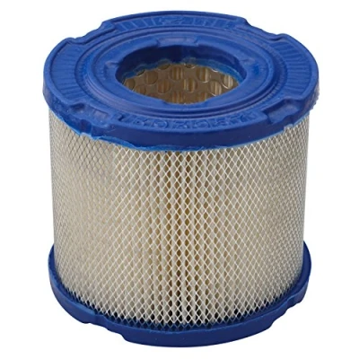 Afbeelding van Briggs and Stratton Genuine 393957S Air Filter Cartridge