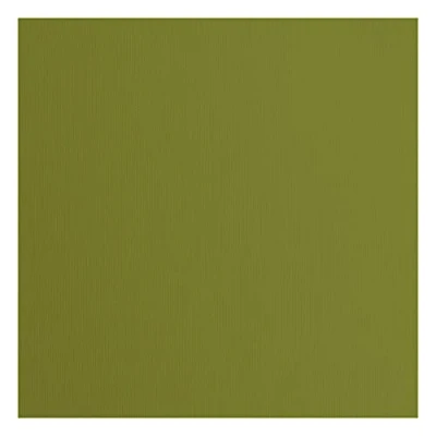 Afbeelding van Vaessen Creative Florence Cardstock Papier, groen, 216 g/m², vierkant, 30,5 x cm, 20 stuks, textuur, voor scrapbooking, kaarten, stansen en ander knutselwerk