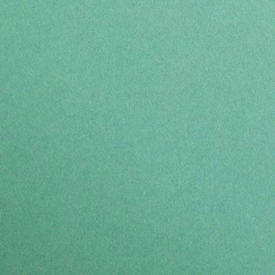 Afbeelding van Clairefontaine 47951C verpakking met 25 vellen tekenpapier Maya, 70 x 100 cm, 270 g, glad, ideaal voor droogtechniek en inlijsting), donkergroen