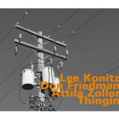 Afbeelding van Konitz, Friedman, Zoller Thingin (CD)