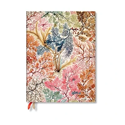 Afbeelding van Agenda 2024 Paperblanks Anemone Ultra sc 7dg vert