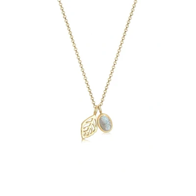 Afbeelding van Elli Halsketting Damesblad Labradoriet Edelsteen in 925 Sterling Zilver verguld Dames