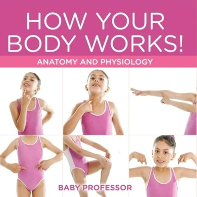 Afbeelding van How Your Body Works! Anatomy and Physiology
