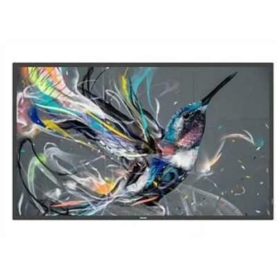 Afbeelding van Philips 65&quot; D LED ECO design 4K Display And
