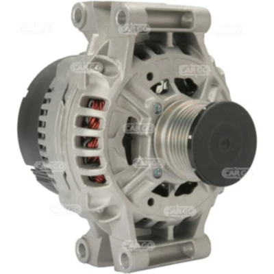 Afbeelding van Dynamo / Alternator HC CARGO 113889