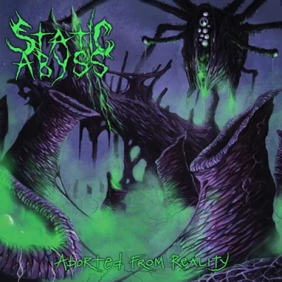 Afbeelding van Static Abyss Aborted From Reality (LP)